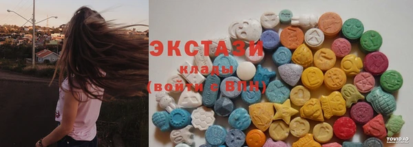 стафф Касимов