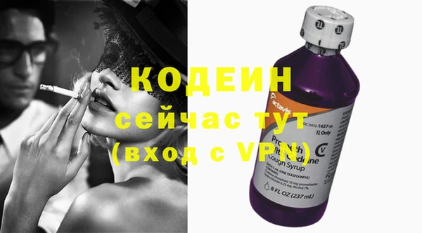 стафф Касимов